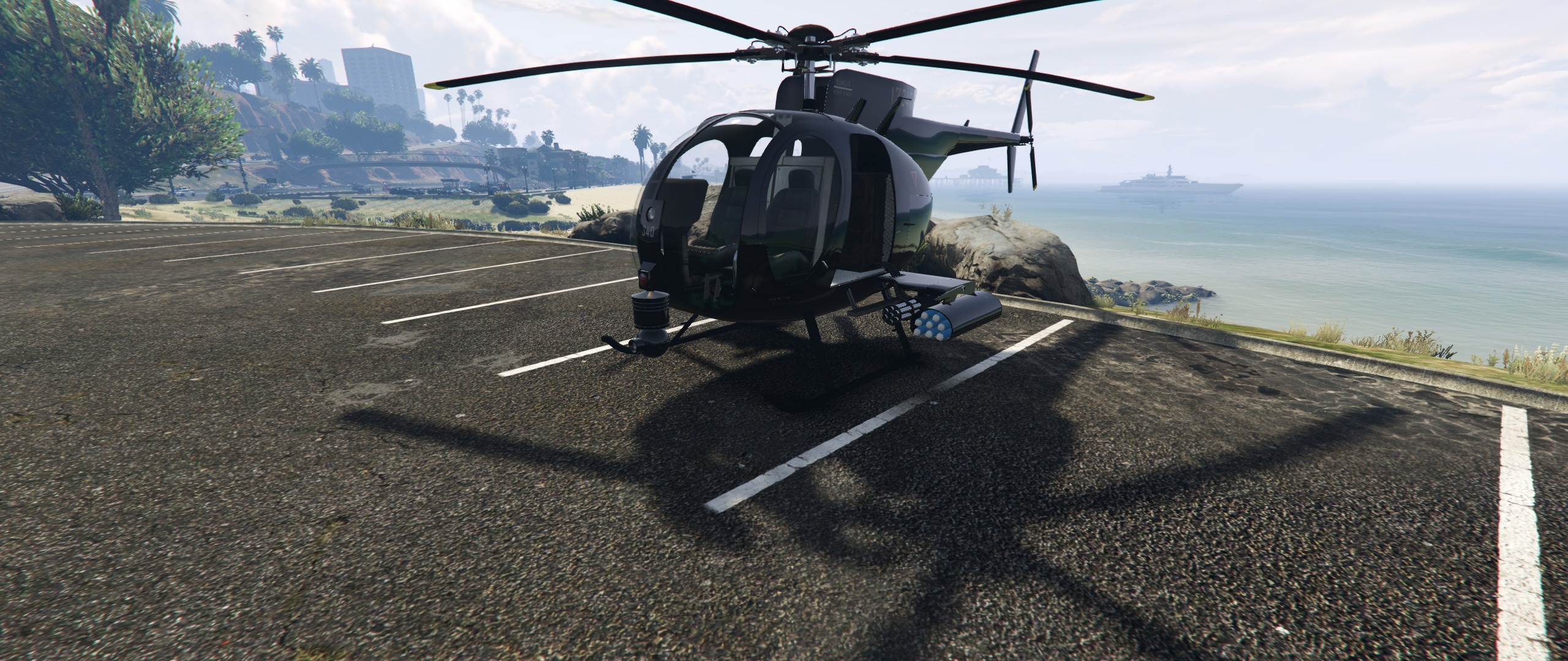 Buzzard