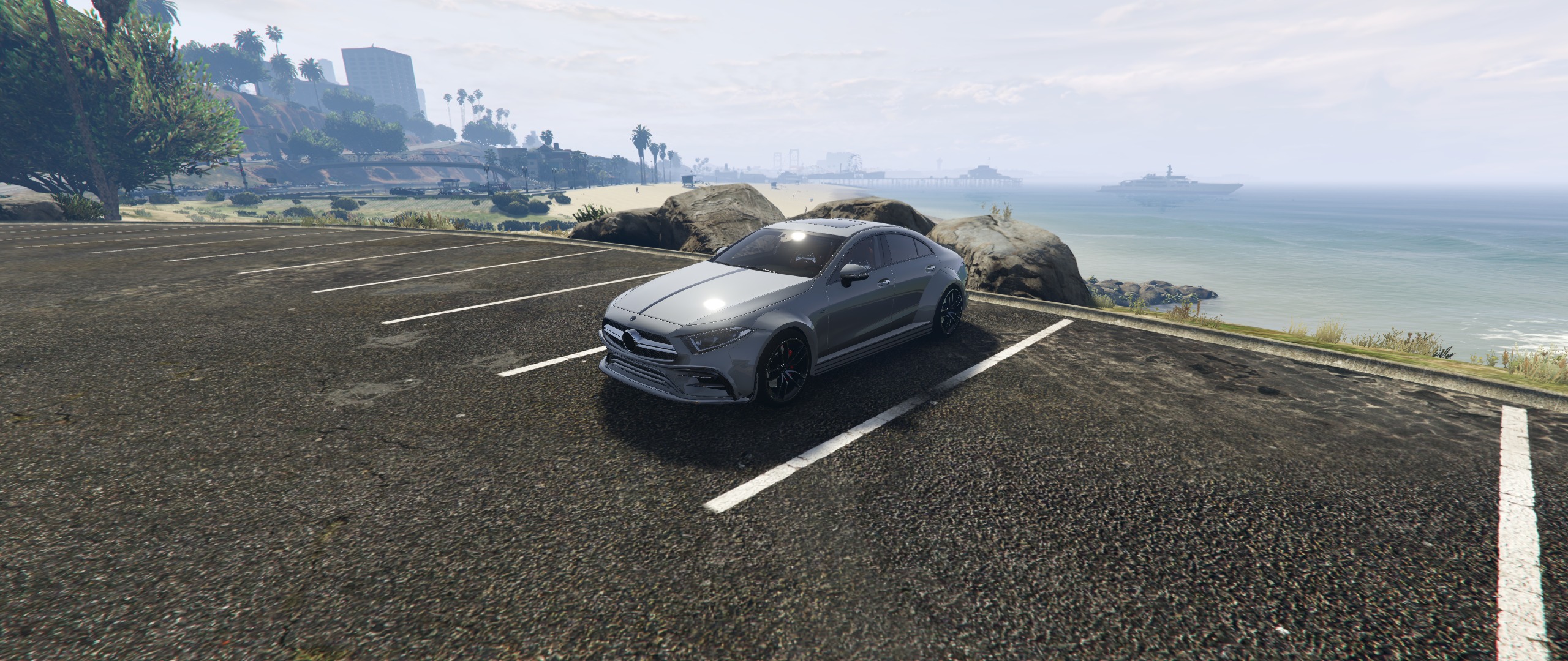Cls19