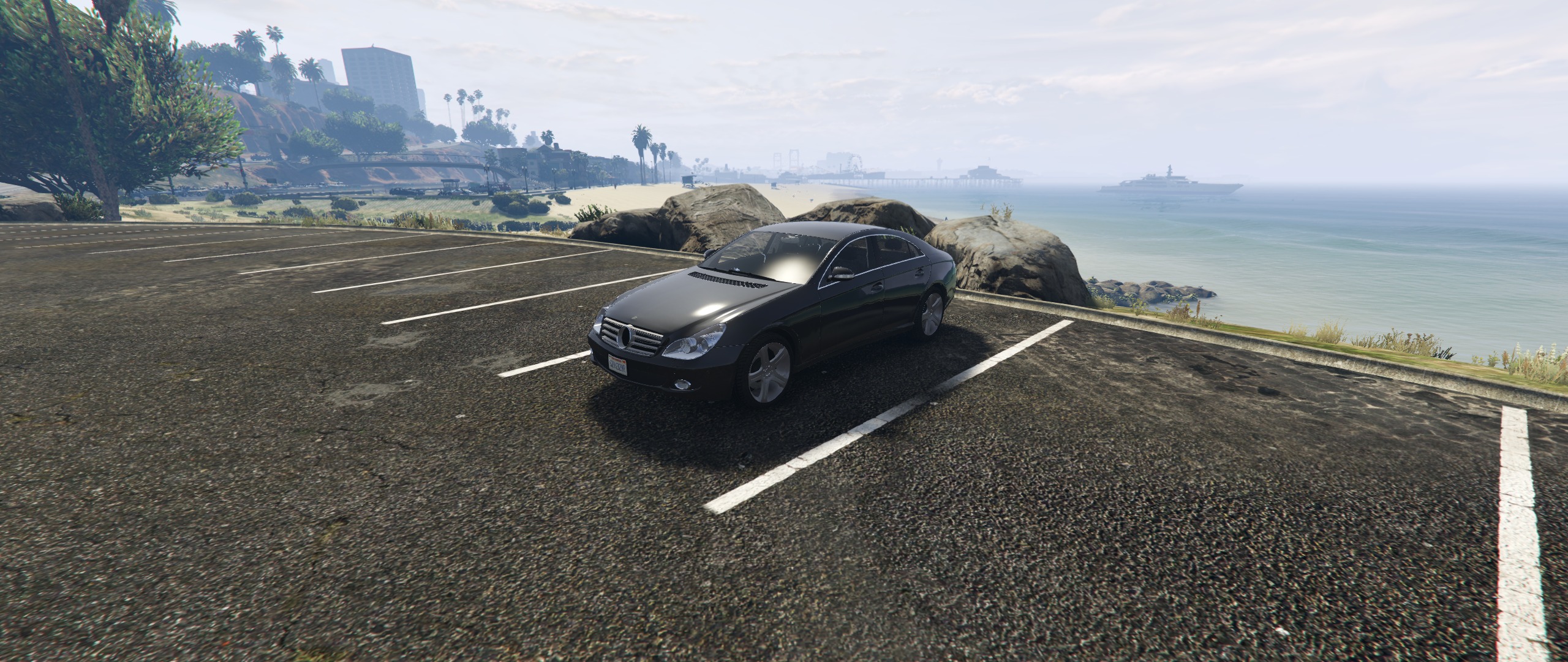 Cls500w219