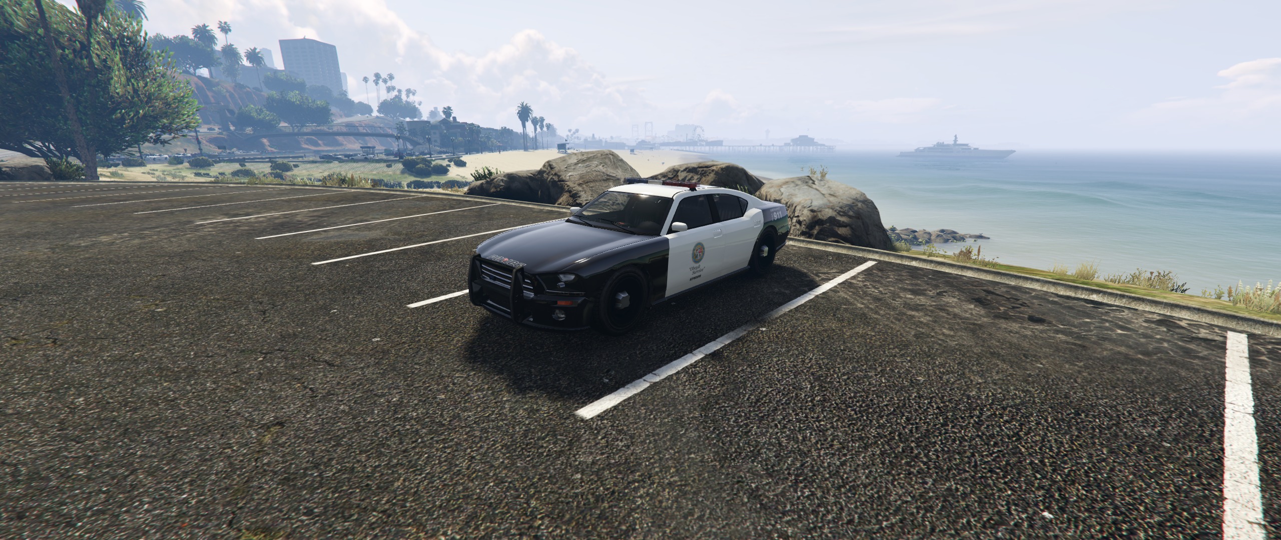 Police2